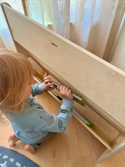 The Classic Montessori Bookshelf