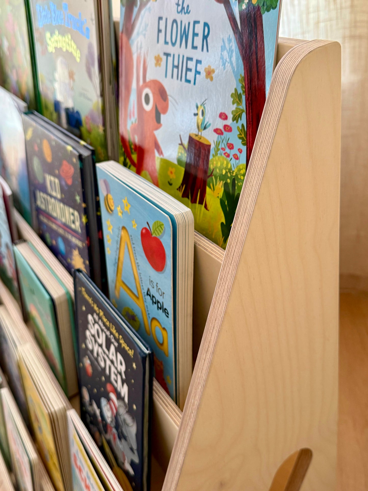The Classic Montessori Bookshelf