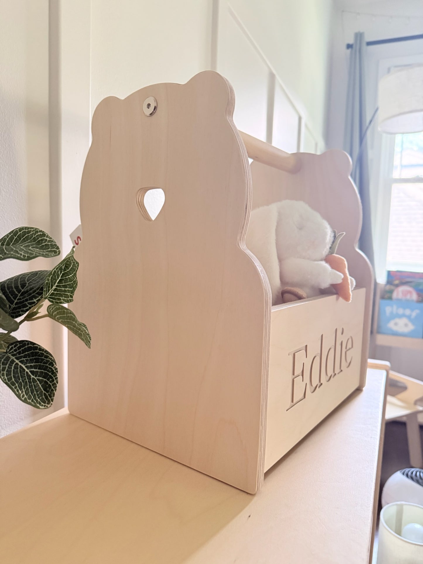 Personalized Book and Toy Caddy Box
