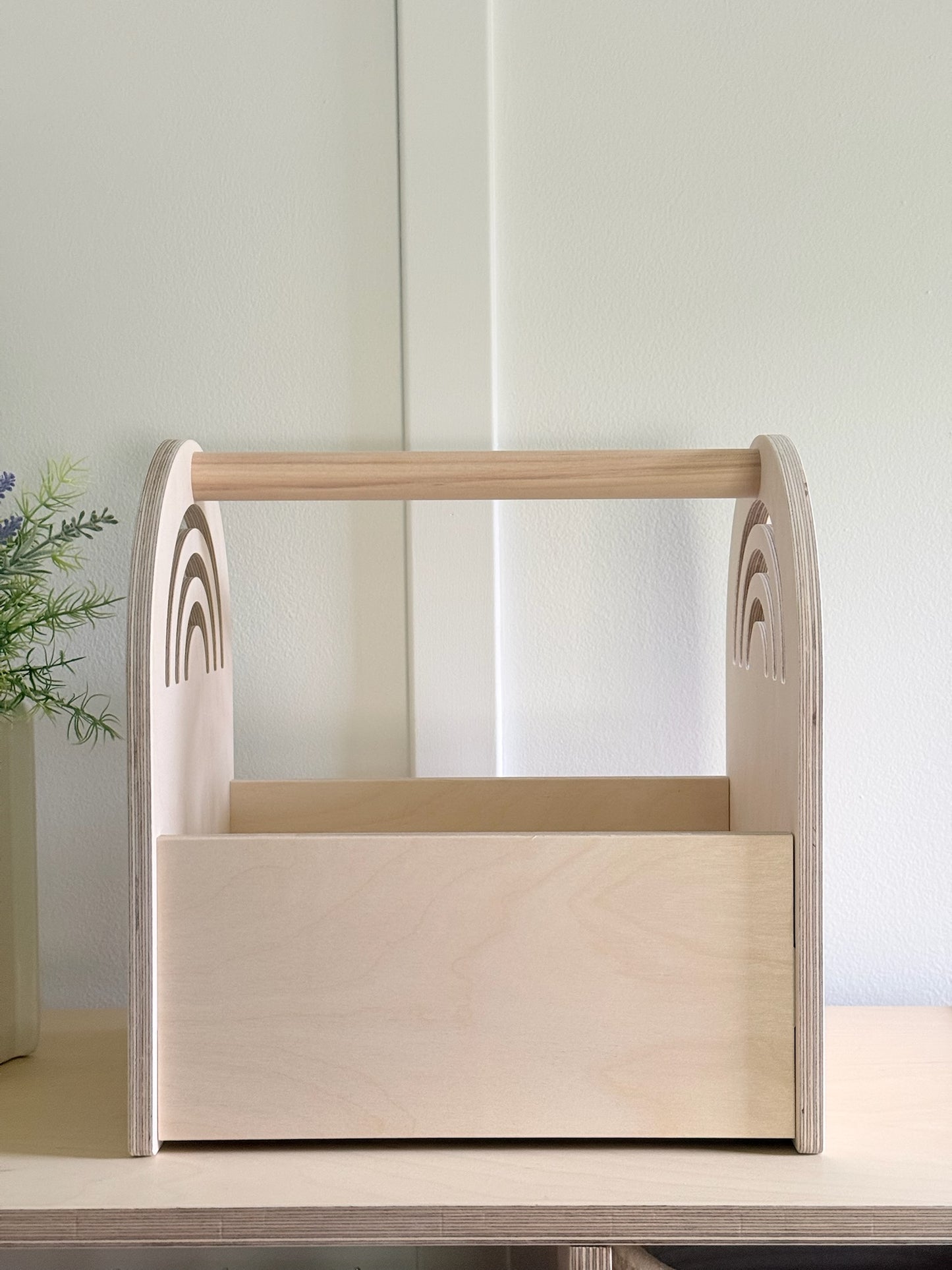 Personalized Book and Toy Caddy Box