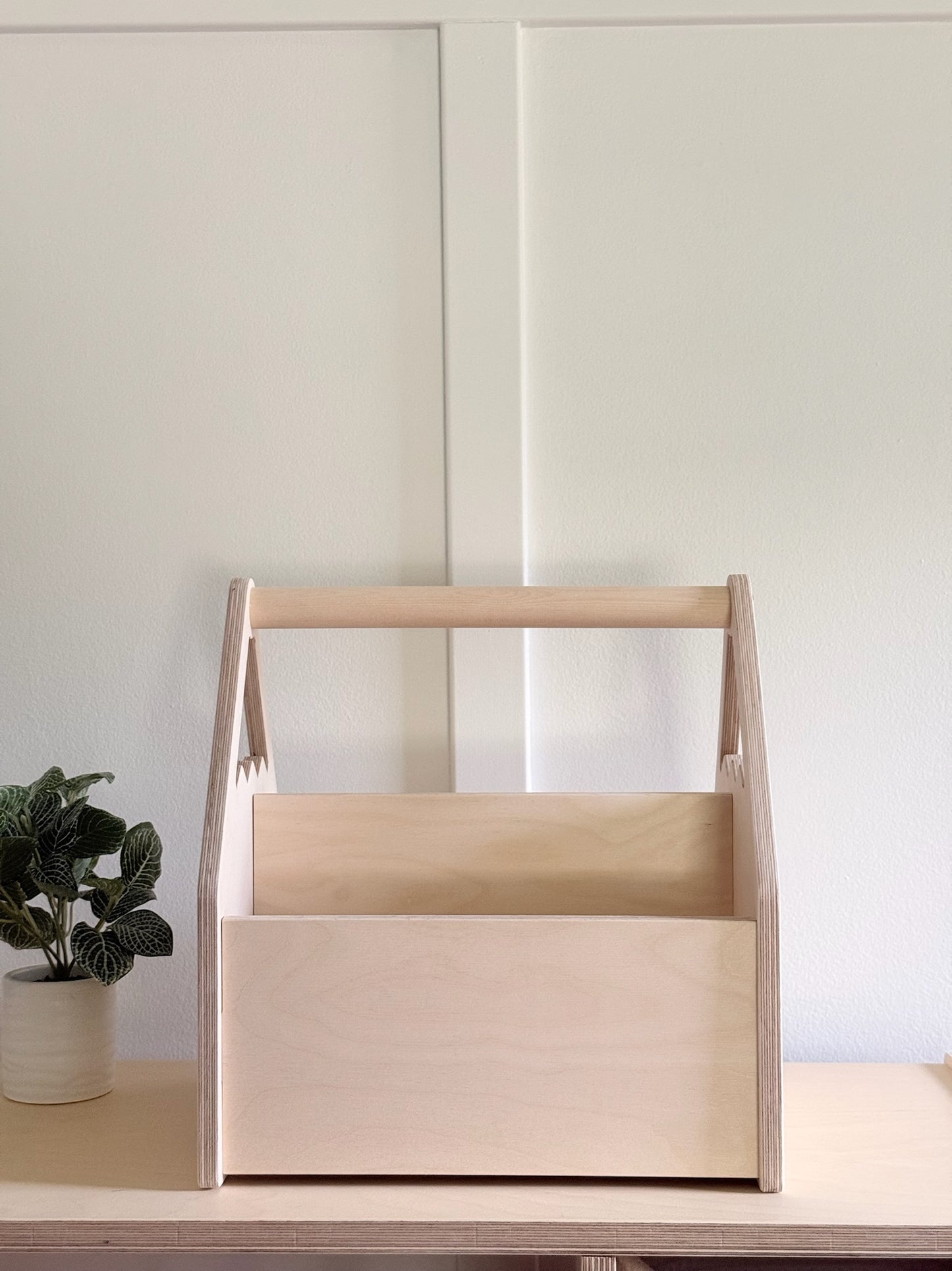 Personalized Book and Toy Caddy Box