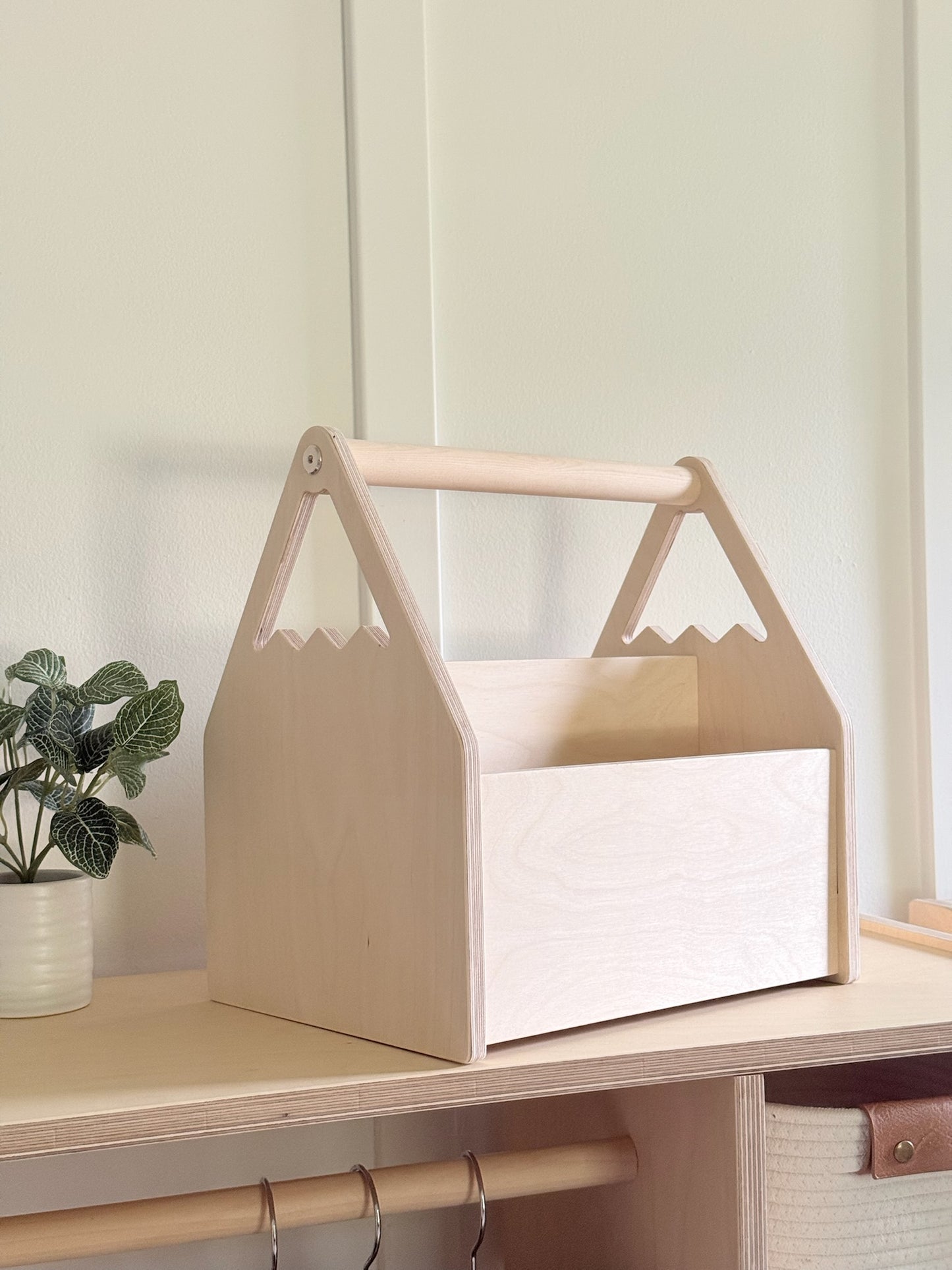 Personalized Book and Toy Caddy Box