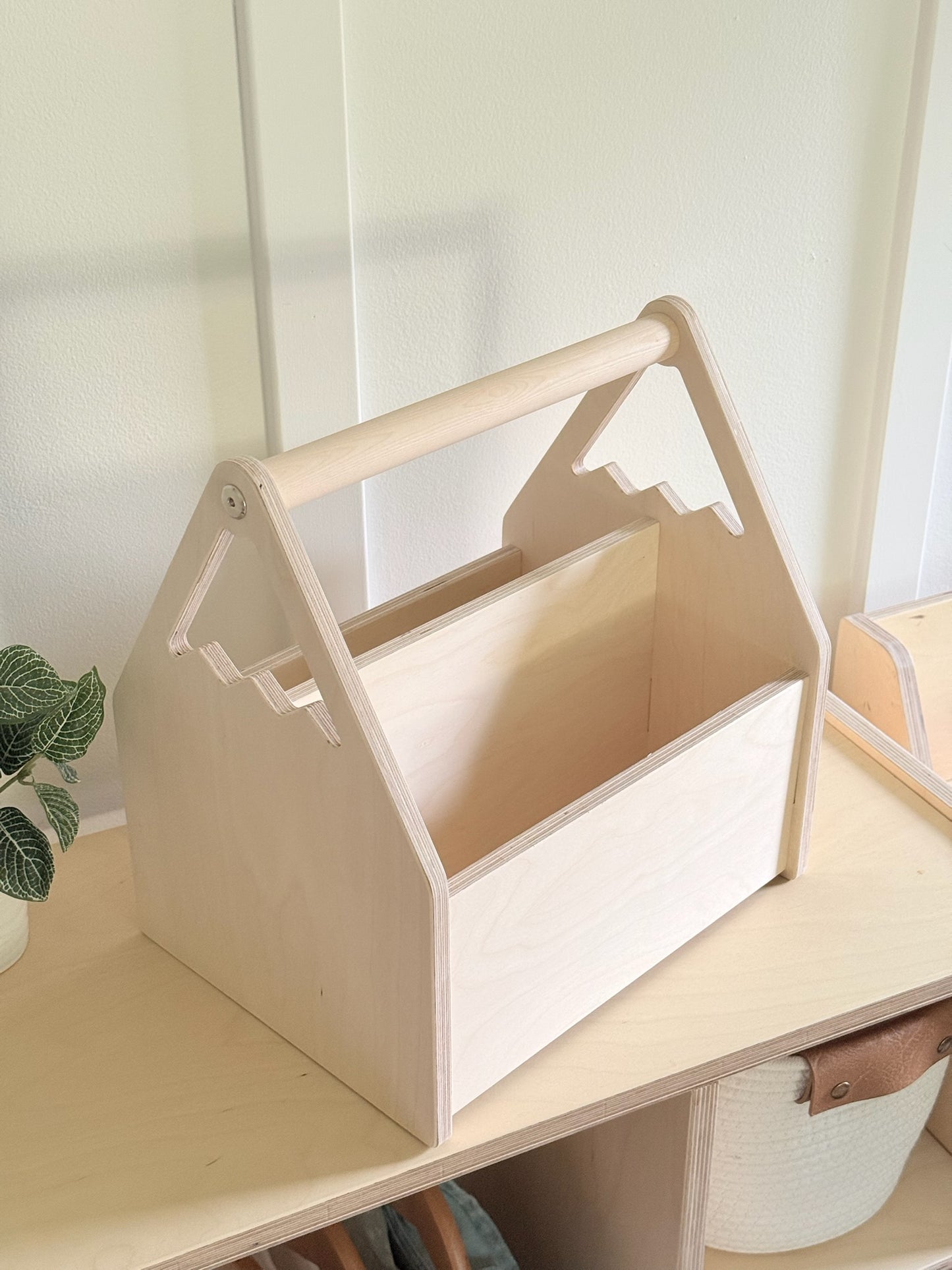 Personalized Book and Toy Caddy Box