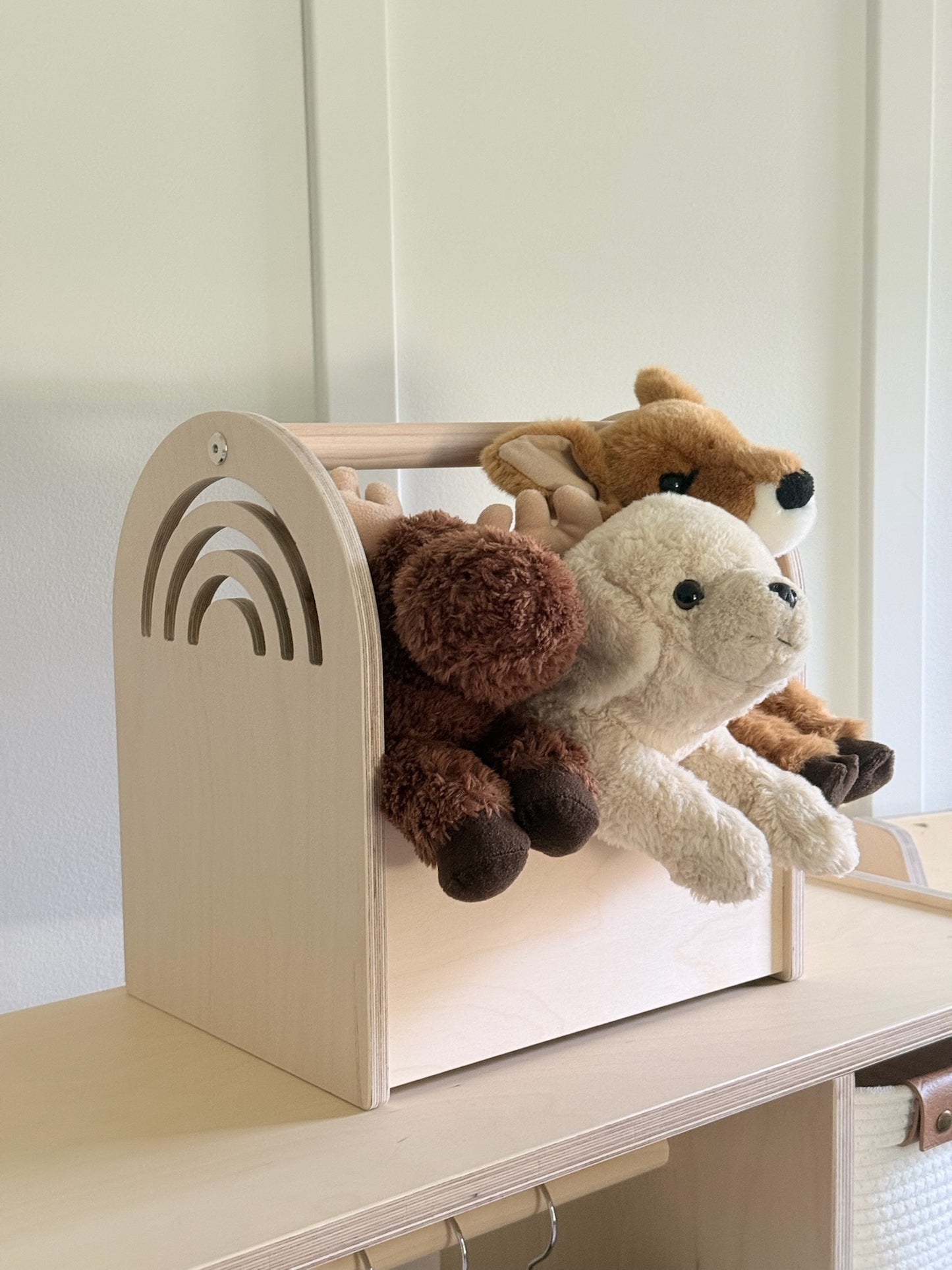 Personalized Book and Toy Caddy Box