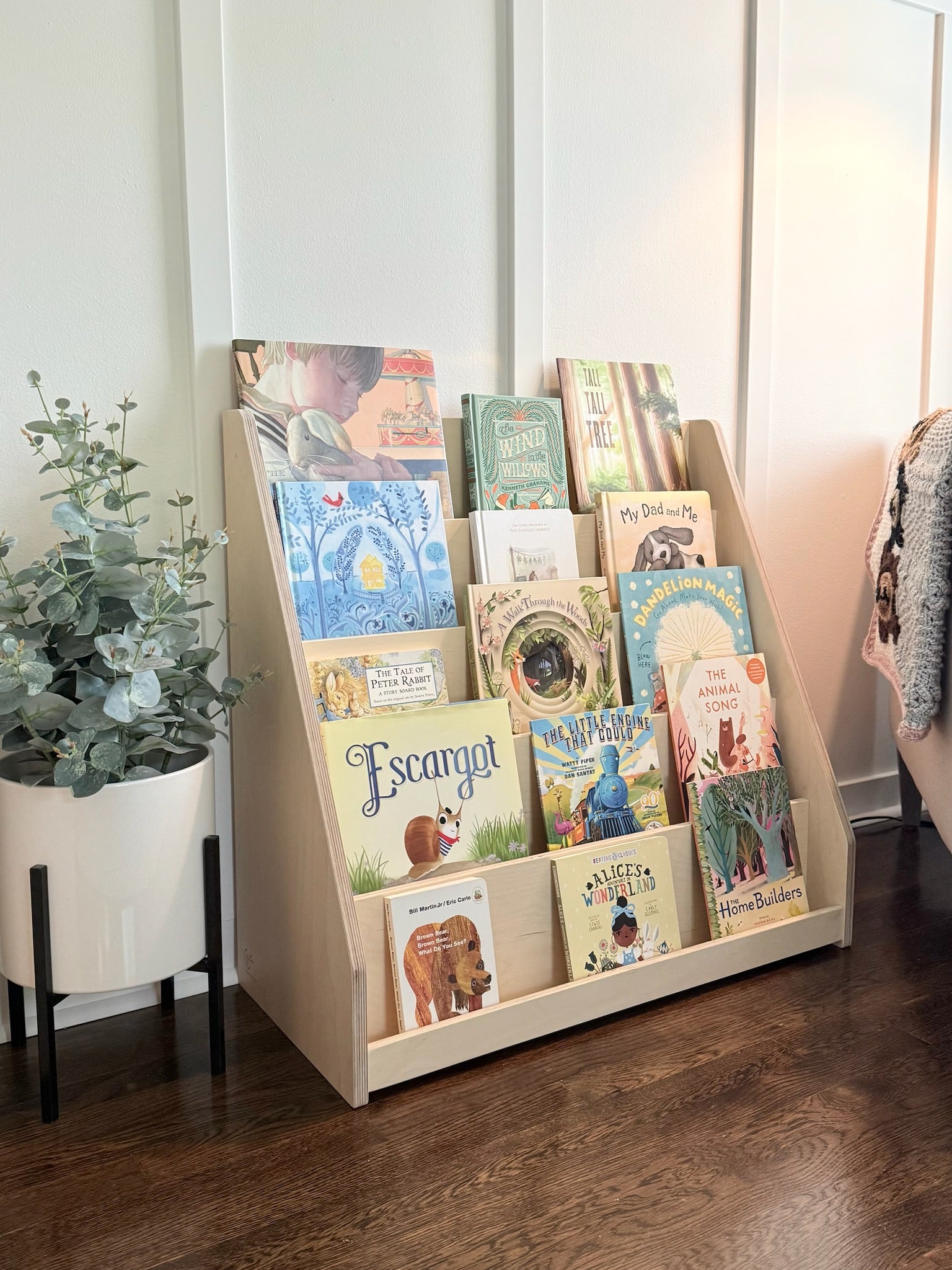 Bookshelf with children's books in a room with a plant.