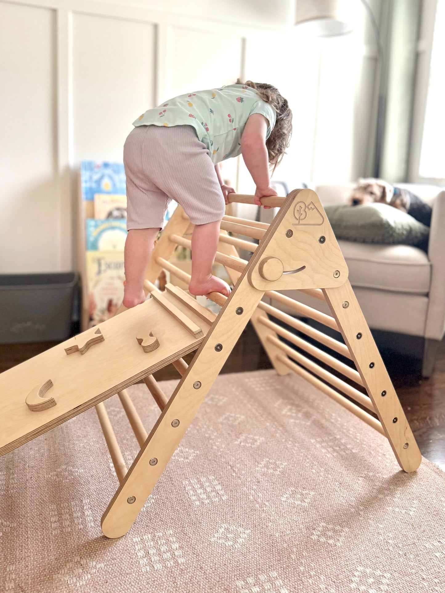 Pikler-Style Climbing Triangle + Rock Wall / Slide Set